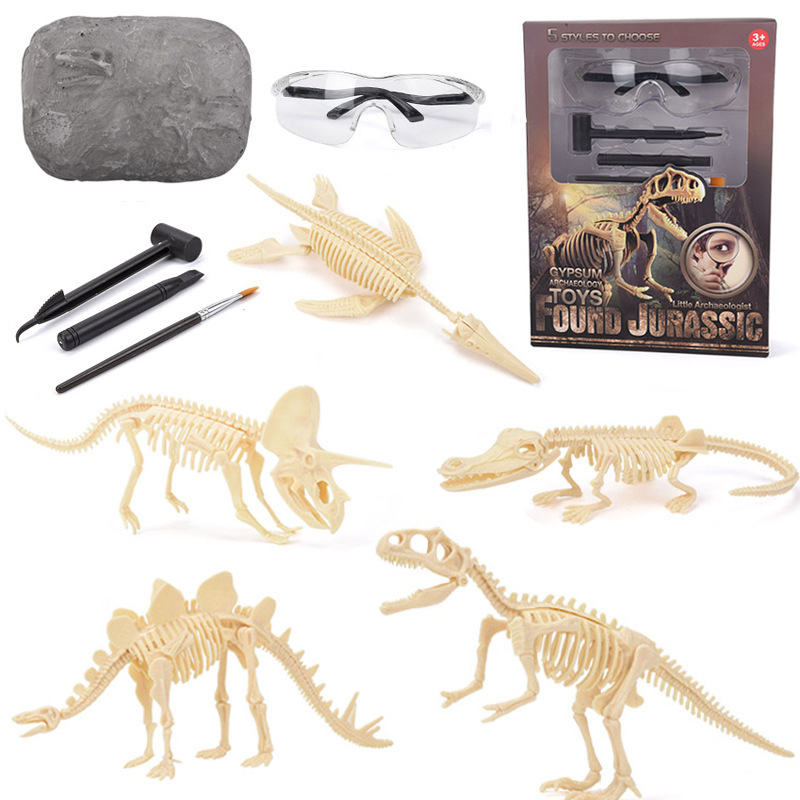 Model Kit Girl - Dinosaurus Fossielen Opgraving Kit STEM: Ontdek